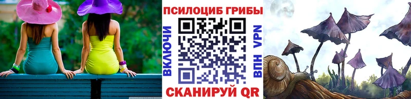 Галлюциногенные грибы Psilocybine cubensis kraken ТОР Рыбинск