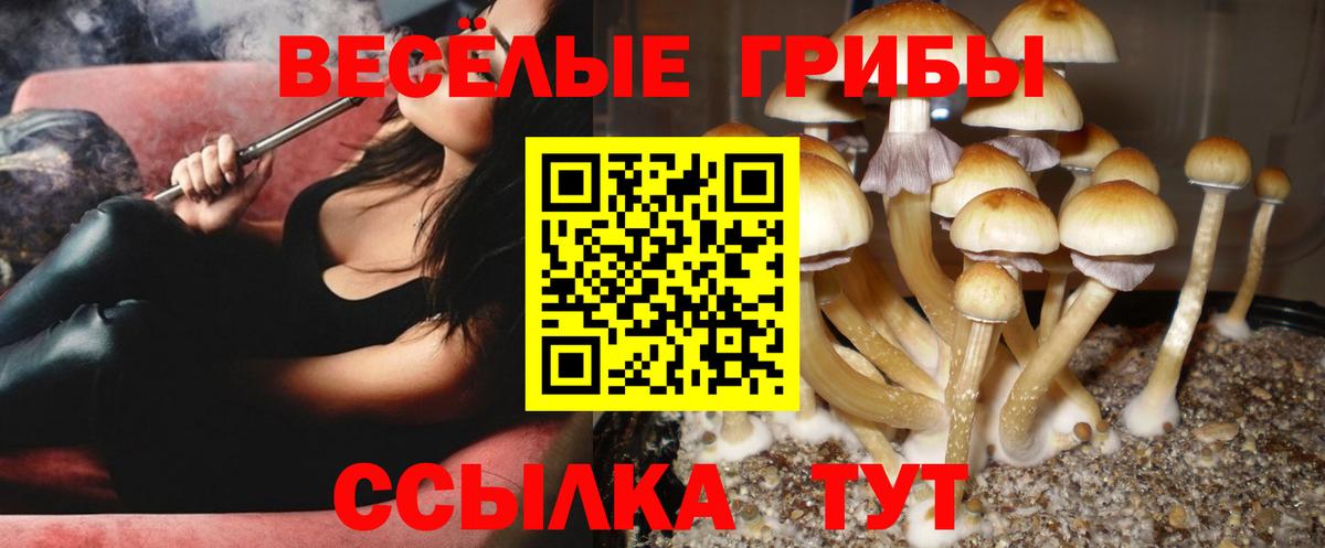 Галлюциногенные грибы Psilocybe  Вход с VPN  Рыбинск 